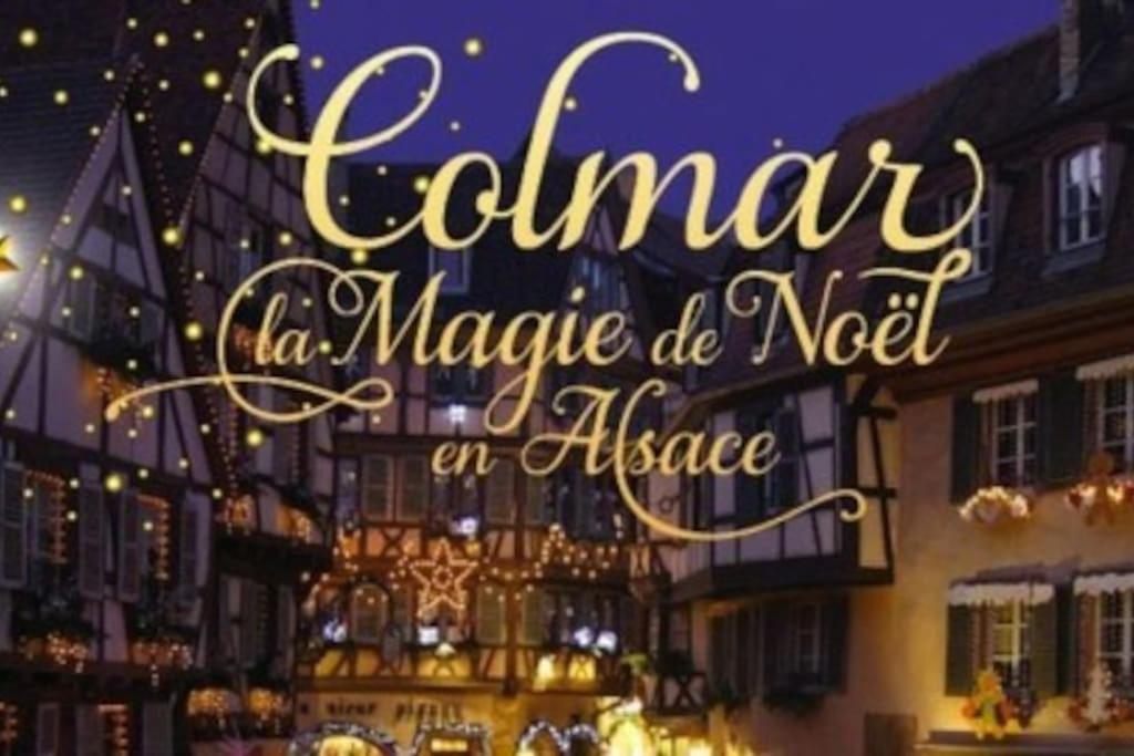 Aux Portes De La Petite Venise Colmar Zewnętrze zdjęcie